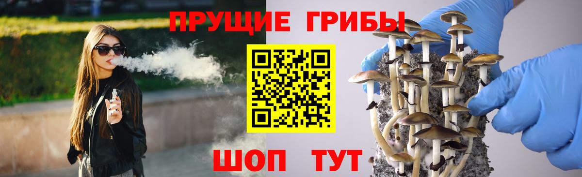 Псилоцибиновые грибы ЛСД  Псилоцибиновые грибы MAGIC MUSHROOMS  Вход с VPN  Сердобск 