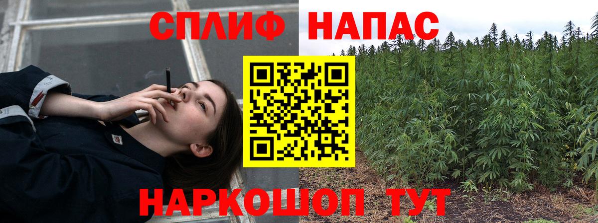 Канабис SATIVA & INDICA  Каннабис OG Kush  Шишки марихуана SATIVA & INDICA  Канабис план  Сердобск  Вход с VPN 